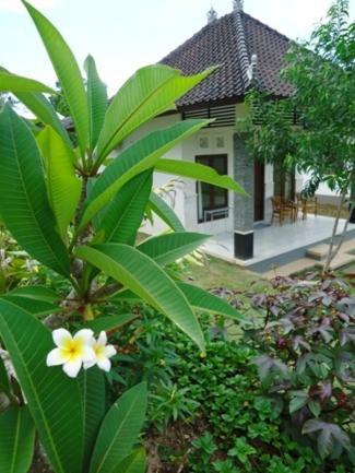 Bingin Family Bungalow Uluwatu Kültér fotó